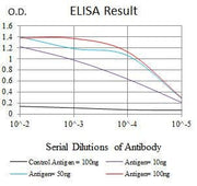 BT LAB manufacturer product image
