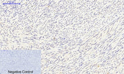 BT LAB manufacturer product image