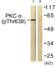 BT LAB manufacturer product image