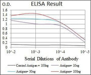 BT LAB manufacturer product image
