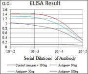 BT LAB manufacturer product image
