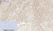 BT LAB manufacturer product image