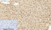 BT LAB manufacturer product image