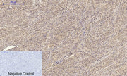 BT LAB manufacturer product image