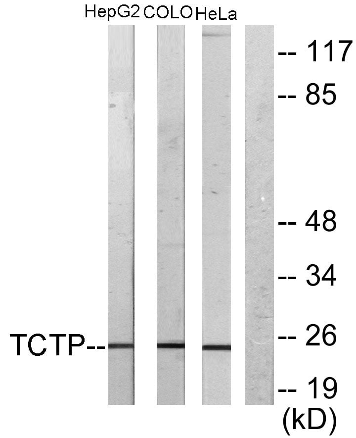 BT LAB manufacturer product image