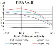 BT LAB manufacturer product image