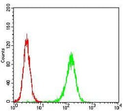 BT LAB manufacturer product image