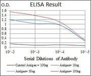 BT LAB manufacturer product image