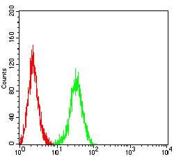 BT LAB manufacturer product image