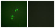 BT LAB manufacturer product image