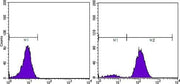 BT LAB manufacturer product image
