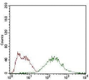 BT LAB manufacturer product image