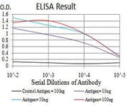 BT LAB manufacturer product image