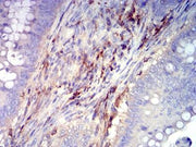 BT LAB manufacturer product image