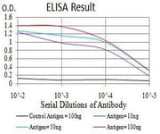 BT LAB manufacturer product image