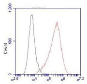 BT LAB manufacturer product image