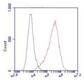 BT LAB manufacturer product image