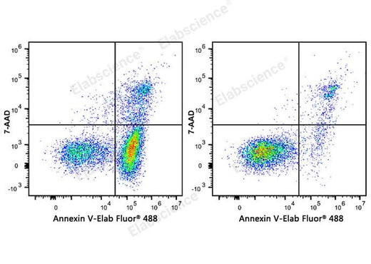 Annexin V-Elab Fluor® 488/7-AAD Apoptosis Kit - ABMIUM