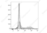 Anti-Human IL-12/IL-23 p40 Antibody [C8.6] - ABMIUM