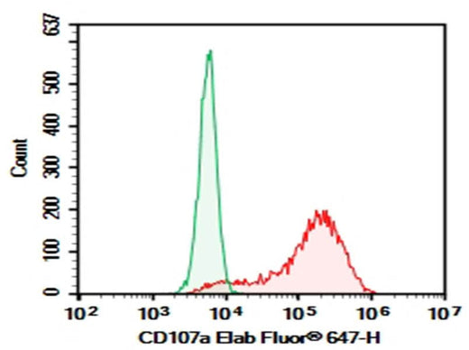 HEK293T cells transfected with pcDNA3.1 plasmid encoding Mouse CD107a gene were stained with 0.2 μg Purified Anti-Mouse CD107a Antibody[1D4B] (Right) and 0.2 μg Rat IgG2a,  κ Isotype Control (Left),  followed by Elab Fluor<sup>®</sup> 647-conjugated Goat Anti-Rat IgG Secondary Antibody.