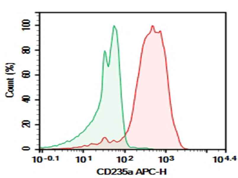 Anti-Human CD235a Antibody [HI264] - ABMIUM