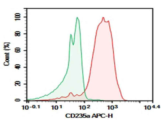 Anti-Human CD235a Antibody [HI264] - ABMIUM