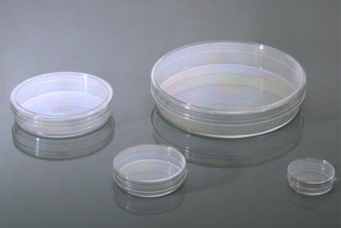 NEST® Cell Culture Chamber Products, Clear