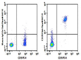 Human peripheral blood lymphocytes cell were stained with 0.2 μg Purified Anti-Human CD20 Antibody[BCA/B20] (Right) and 0.2 μg Mouse IgG2a, κ Isotype Control (Left), followed by Elab Fluor<sup>®</sup> 647-conjugated Goat Anti-Mouse IgG Secondary Antibody, then anti-Human CD19 PE-conjugated Monoclonal Antibody.