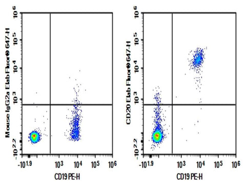 Human peripheral blood lymphocytes cell were stained with 0.2 μg Purified Anti-Human CD20 Antibody[BCA/B20] (Right) and 0.2 μg Mouse IgG2a, κ Isotype Control (Left), followed by Elab Fluor<sup>®</sup> 647-conjugated Goat Anti-Mouse IgG Secondary Antibody, then anti-Human CD19 PE-conjugated Monoclonal Antibody.