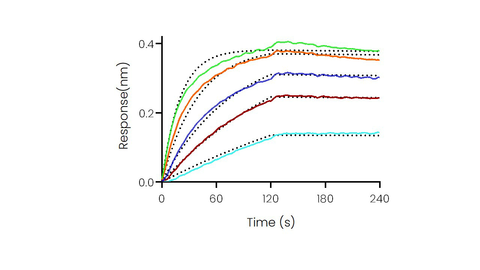 Loaded SARS-CoV-2 (2019-nCoV) Spike RBD-mFc Recombinant Protein (Cat: PKSR030500) on AMC Biosensor, can bind Recombinant Human ACE2 Protein, His Tag (Cat: PKSR030510) ) with an affinity constant of 8.61 nM as determined in BLI assay (Sartorius Octet RED384) .
