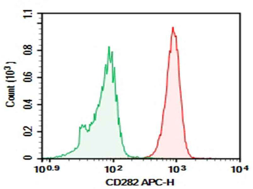 Anti-Human CD282 Antibody [T2.5] - ABMIUM