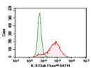 Anti-Human IL-9 Antibody [MH9D1] - ABMIUM