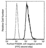 Anti-Human PHGDH Antibody [A983] - ABMIUM