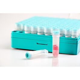 2D Barcode 2.0 mL Cryogenic Vial, Self-Standing, External Thread, Sterile, New Model, 10*10/rack, 12 racks/cs, 1200 vials/cs — NEST Cat. No. 607452
