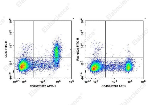 C57BL/6 murine splenocytes are stained with APC Anti-Mouse CD45R/B220 Antibody and FITC Anti-Mouse CD23 Antibody[B3B4] (Left). Splenocytes are stained with APC Anti-Mouse CD45R/B220 Antibody and FITC Rat IgG2a, κ Isotype Control[2A3] (Right).