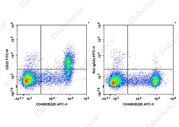 C57BL/6 murine splenocytes are stained with APC Anti-Mouse CD45R/B220 Antibody and FITC Anti-Mouse CD23 Antibody[B3B4] (Left). Splenocytes are stained with APC Anti-Mouse CD45R/B220 Antibody and FITC Rat IgG2a, κ Isotype Control[2A3] (Right). 