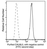 Anti-Human CALML5 Antibody [B160]