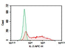 Anti-Mouse IL-2 Antibody [JES6-1A12] - ABMIUM