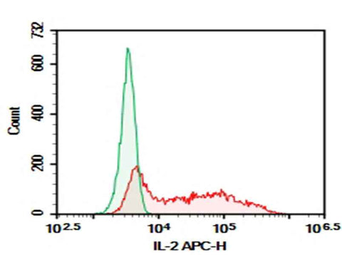 Anti-Mouse IL-2 Antibody [JES6-1A12] - ABMIUM
