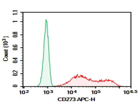 Anti-Human CD273 Antibody [HIQB273-1] - ABMIUM