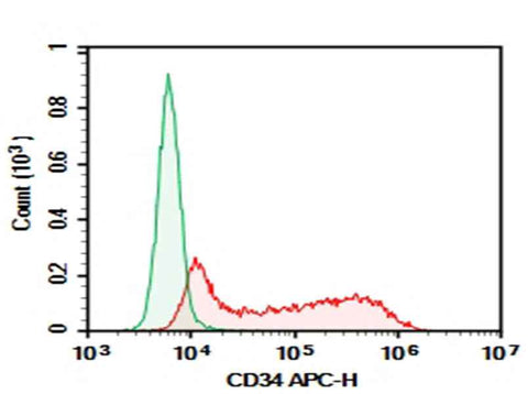 Anti-Human CD34 Antibody [HI273] - ABMIUM