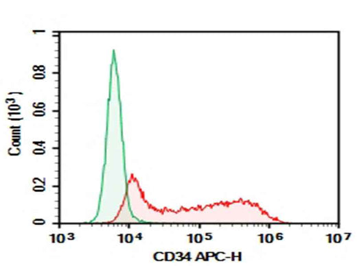 Anti-Human CD34 Antibody [HI273] - ABMIUM