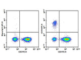Human peripheral blood lymphocytes were stained with 0.2 μg Purified Anti-Human CD19 Antibody[HI19a] (Right) and 0.2 μg Mouse IgG1, κ Isotype Control (Left), followed by APC-conjugated Goat Anti-Mouse IgG Secondary Antibody, then anti-Human CD3 FITC-conjugated Monoclonal Antibody.