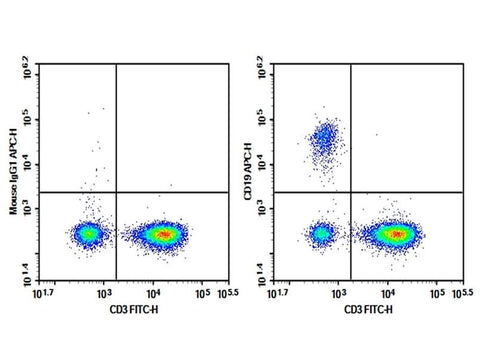 Human peripheral blood lymphocytes were stained with 0.2 μg Purified Anti-Human CD19 Antibody[HI19a] (Right) and 0.2 μg Mouse IgG1, κ Isotype Control (Left), followed by APC-conjugated Goat Anti-Mouse IgG Secondary Antibody, then anti-Human CD3 FITC-conjugated Monoclonal Antibody.
