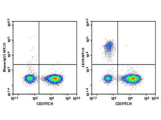 Human peripheral blood lymphocytes were stained with 0.2 μg Purified Anti-Human CD19 Antibody[HI19a] (Right) and 0.2 μg Mouse IgG1, κ Isotype Control (Left), followed by APC-conjugated Goat Anti-Mouse IgG Secondary Antibody, then anti-Human CD3 FITC-conjugated Monoclonal Antibody.