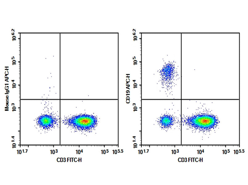 Human peripheral blood lymphocytes were stained with 0.2 μg Purified Anti-Human CD19 Antibody[HI19a] (Right) and 0.2 μg Mouse IgG1, κ Isotype Control (Left), followed by APC-conjugated Goat Anti-Mouse IgG Secondary Antibody, then anti-Human CD3 FITC-conjugated Monoclonal Antibody.