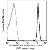Anti-Human PTPRC Antibody [A1017] - ABMIUM