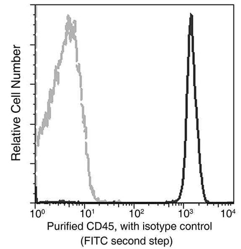 Anti-Human PTPRC Antibody [A1017] - ABMIUM