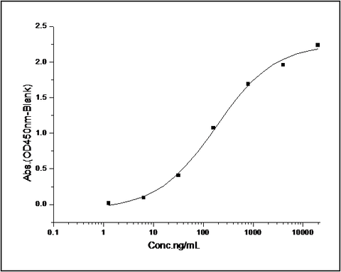 Measured by its binding ability in a functional ELISA. Immobilized human ErbB4-His at 10 μg/ml (100 μl/well) can bind biotinylated human NRG1 (Cat: PKSH031068)2), The EC<sub>50</sub> of biotinylated human NRG1 (Cat: PKSH031068)2) is 0.4-0.92 μg/ml.
