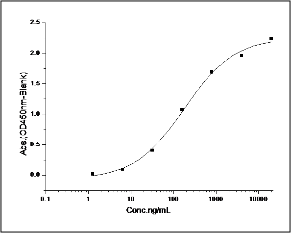 Measured by its binding ability in a functional ELISA. Immobilized human ErbB4-His at 10 μg/ml (100 μl/well) can bind biotinylated human NRG1 (Cat: PKSH031068)2), The EC<sub>50</sub> of biotinylated human NRG1 (Cat: PKSH031068)2) is 0.4-0.92 μg/ml.